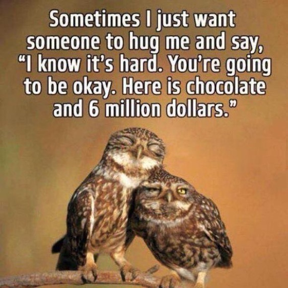 Meet your Posher, Patricia - Picture 2 of 2